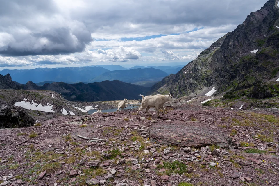 To Walk Among Peaks