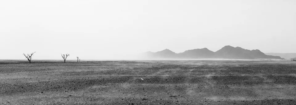 Namibia (2025) - Son Nguyen