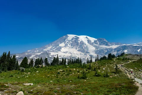 dsc01349-599.jpg