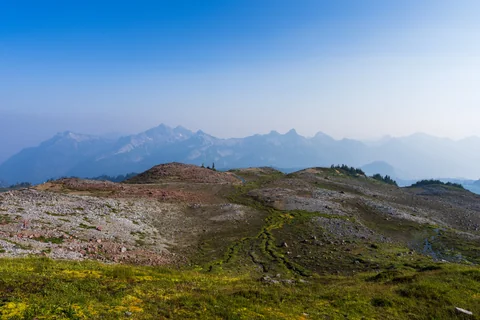 dsc01407-710.jpg