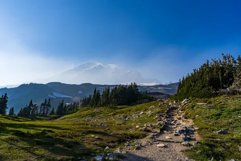 dsc01489-631.jpg