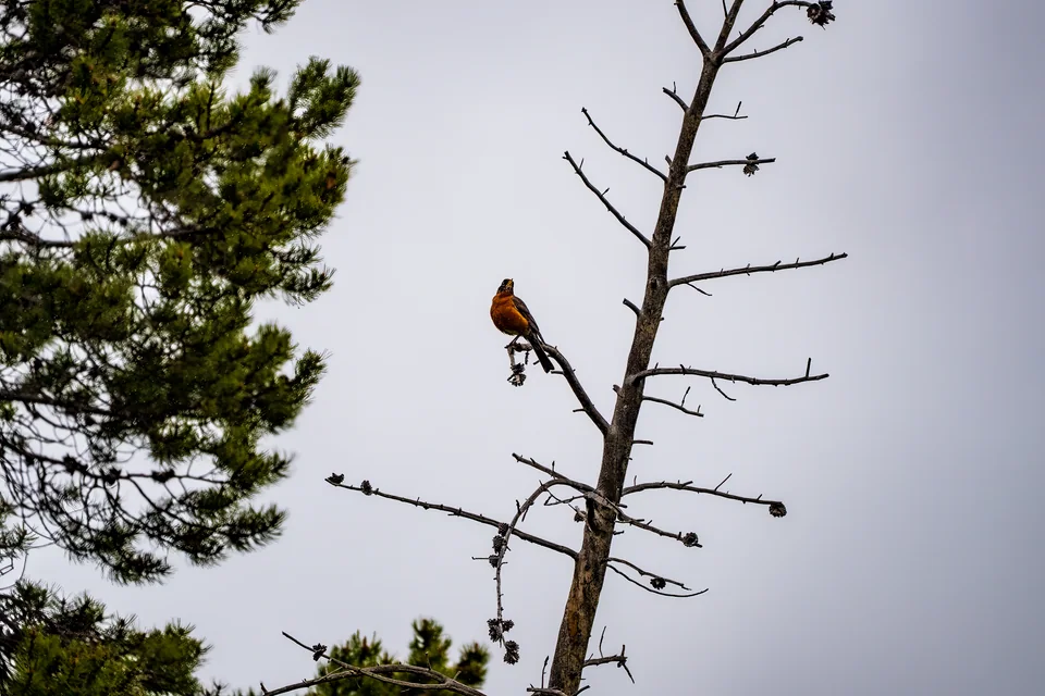 dsc03851-edit-635.jpg